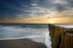 1: AT-Endlich am Meer