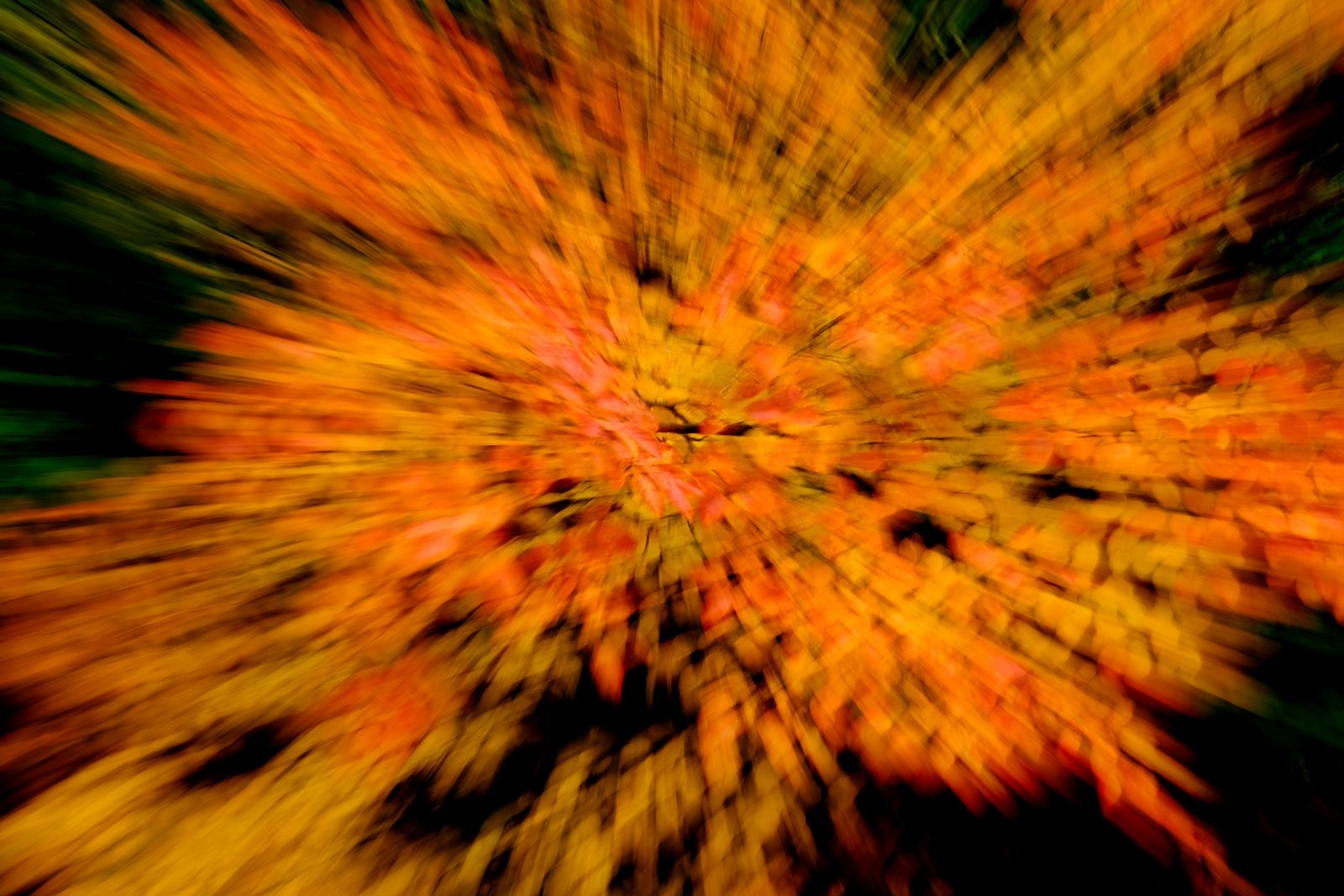 Klicken um die Schaltflächen zu zeigen oder zu verbergen