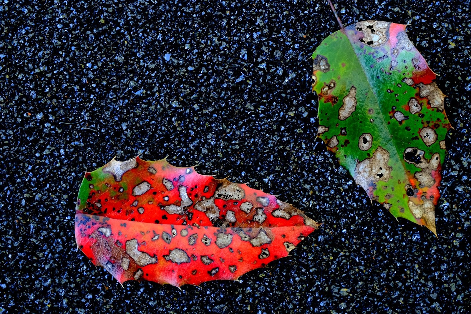 Klicken um die Schaltflächen zu zeigen oder zu verbergen