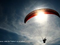 Ikarus, oder die Freiheit zu scheitern