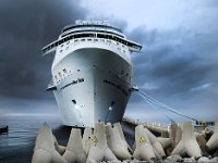 Freedom of the Seas