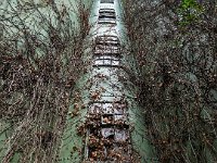 Cardenap-Silo-I