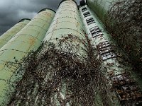 Cardenap-Silo-II