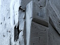 Kavalierhaus-16