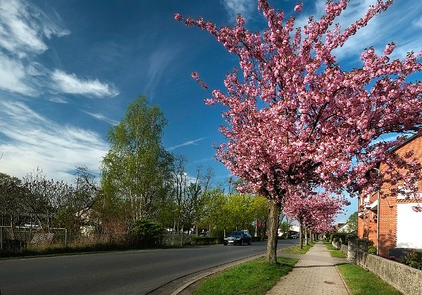 Meinersen-Frühling-Sommer