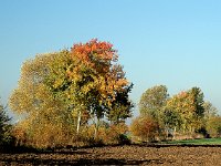 Acker bei Ohof-3
