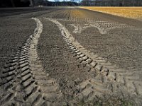 Acker bei Seershausen