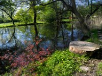 Apfelgarten hinter dem Künstlerhaus