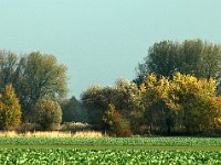 Bei Seershausen-3