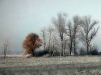 Acker bei Ohof-2