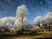 Alter Friedhof St.Georg
