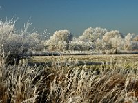 An der Umgehung-2