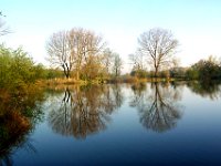 Meinersen-an den Fischteichen-3