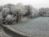 Wiese bei Seershausen-3