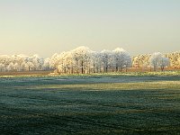 Wiese bei Seershausen