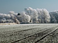 Winter in Seershausen-1