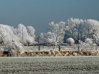 Winter in Seershausen-3
