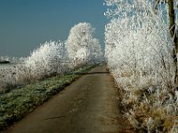 Winterweg bei Seershausen-2