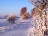 Winterweg bei Seershausen