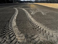 Ackerspruren
