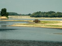Loire bei Montsoreau