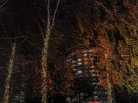 DSCF0637