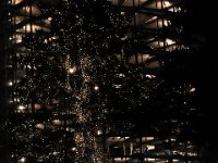 DSCF0805