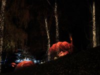DSCF0808