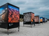 Zingst-2016-01