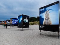 Zingst-2016-05