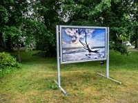 Zingst-2016-11
