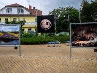 Zingst-2016-13